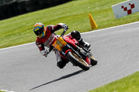 cadwell-no-limits-trackday;cadwell-park;cadwell-park-photographs;cadwell-trackday-photographs;enduro-digital-images;event-digital-images;eventdigitalimages;no-limits-trackdays;peter-wileman-photography;racing-digital-images;trackday-digital-images;trackday-photos